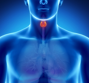 Thyroid-Stimulating Hormone (TSH)
